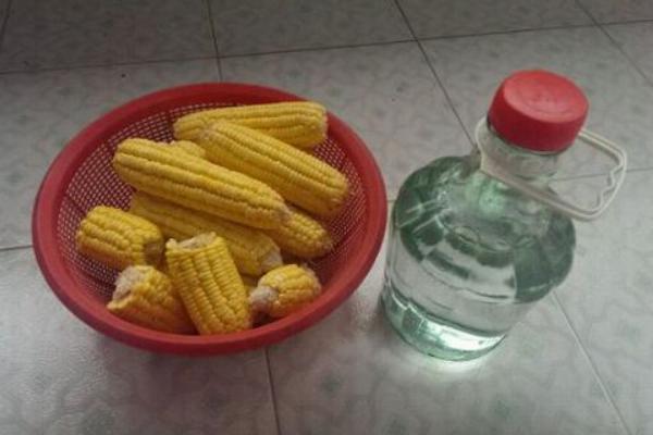 玉米能加工哪些產品 玉米酒好喝嗎