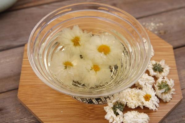 菊花茶能減肥嗎 菊花茶和綠茶可以一起喝嗎