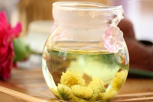 菊花茶能減肥嗎 菊花茶和綠茶可以一起喝嗎