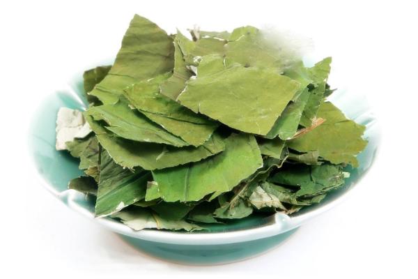 荷葉茶的功效與作用及禁忌 荷葉茶怎么做