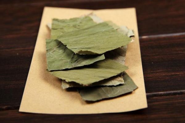 荷葉茶的制作方法 荷葉茶什么時候喝最好