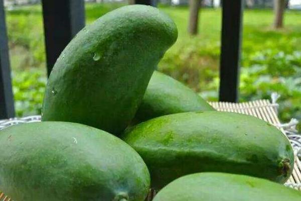 桂七芒果產地在哪里 桂七芒果是青芒嗎