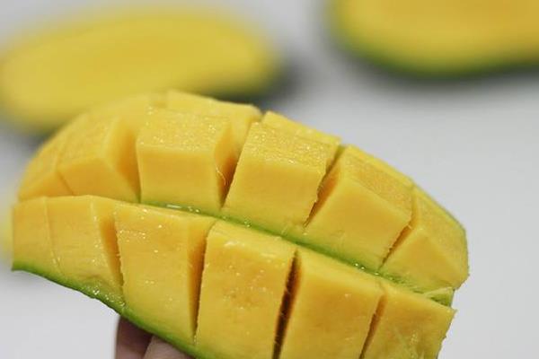 桂七芒果好吃嗎 桂七芒果核大嗎 桂七芒果特點