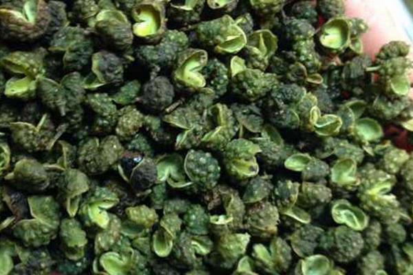 花椒是麻椒嗎 麻椒和花椒的區別是什么