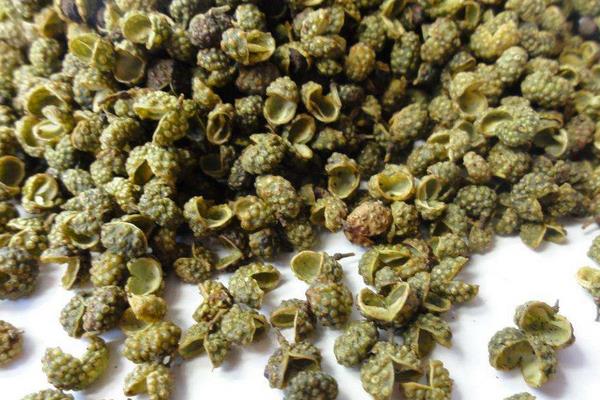 花椒是麻椒嗎 麻椒和花椒的區別是什么