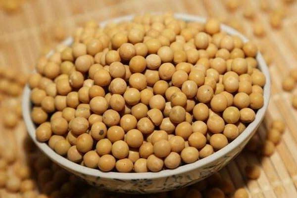 轉基因大豆和非轉基因大豆的區別是什么 如何辨別轉基因大豆