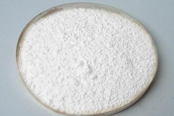 大豆蛋白粉的功效與作用 大豆蛋白粉適合增肌嗎