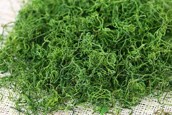 絞股藍茶市場價格多少錢一斤 絞股藍茶的制作方法