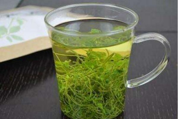 絞股藍茶市場價格多少錢一斤 絞股藍茶的制作方法