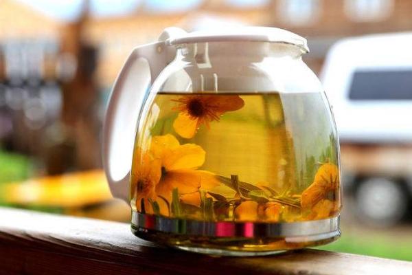 金蓮花茶的功效與作用及禁忌 金蓮花茶怎么泡