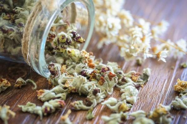 蘋果花茶的功效與作用及禁忌 蘋果花茶怎么泡