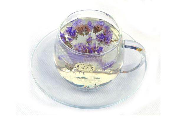 勿忘我花茶的功效與作用及禁忌 勿忘我花茶一次喝幾朵