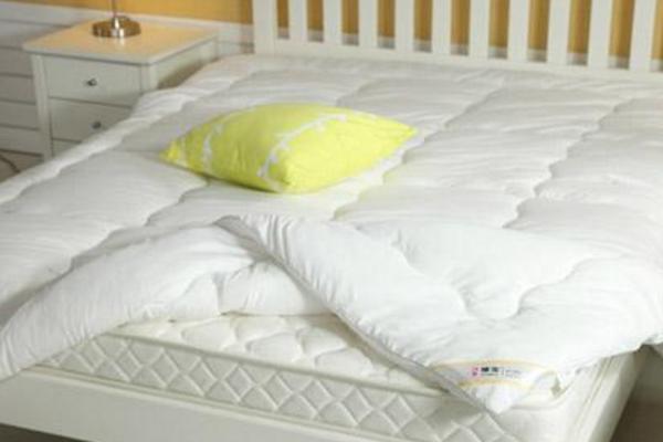 大豆纖維是什么面料 大豆纖維被的優(yōu)缺點(diǎn)