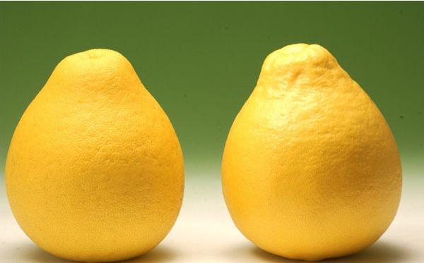 蜜柚的功效與作用 蜜柚和柚子的區別是什么