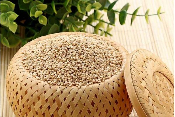 白芝麻的功效與作用及禁忌 白芝麻的營養價值