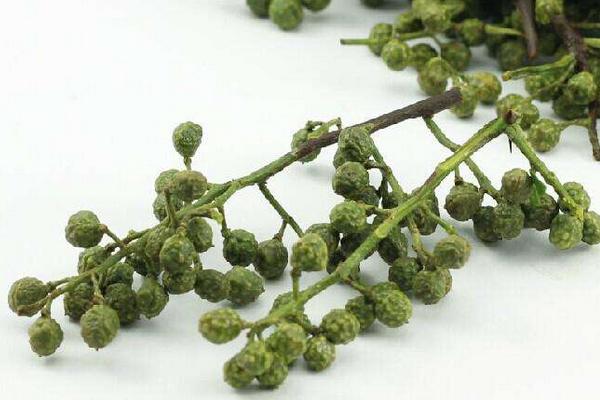 藤椒是不是就是青花椒 藤椒和青花椒的區別是什么