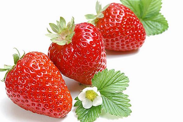 草莓冰淇淋的制作方法 什么草莓品種最好