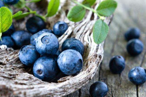 黑莓水果市場價格多少錢一斤 黑莓和藍莓的區別是什么