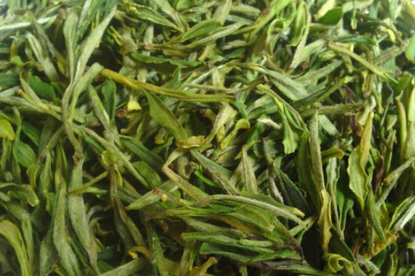 霍山黃芽的功效與作用 霍山黃芽怎么泡