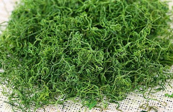 絞股藍(lán)茶泡好還是煮好 絞股藍(lán)茶能長(zhǎng)期喝嗎