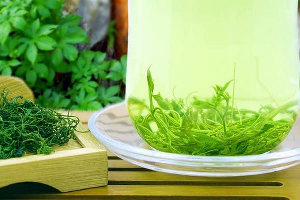 絞股藍(lán)茶泡好還是煮好 絞股藍(lán)茶能長(zhǎng)期喝嗎
