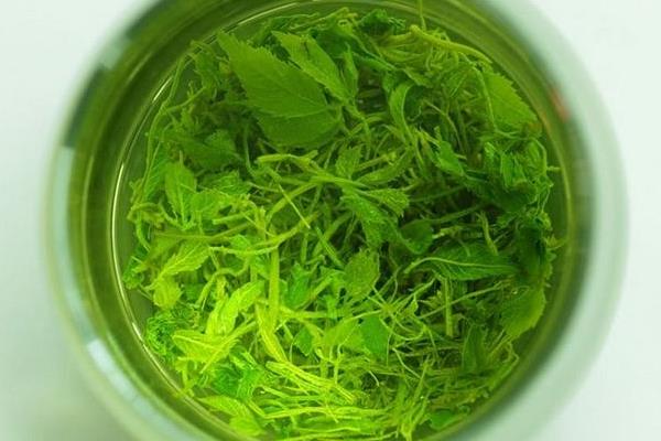 絞股藍(lán)茶泡好還是煮好 絞股藍(lán)茶能長(zhǎng)期喝嗎