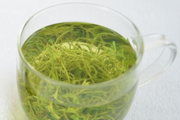 絞股藍(lán)茶泡好還是煮好 絞股藍(lán)茶能長(zhǎng)期喝嗎