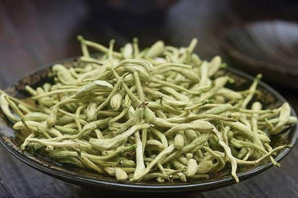 金銀花茶的功效與作用及禁忌 喝金銀花茶有什么好處