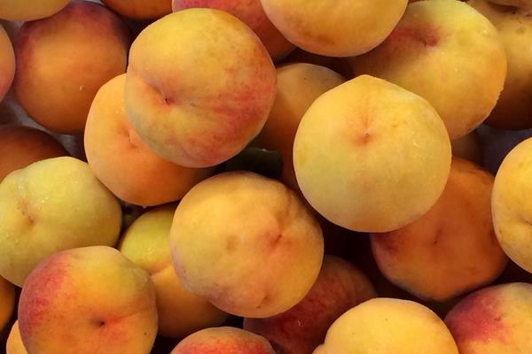 黃桃為什么那么貴 黃桃哪里產(chǎn)的最有名