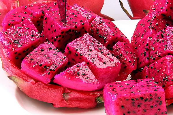 火龍果長在哪里 火龍果有哪些品種 火龍果像什么