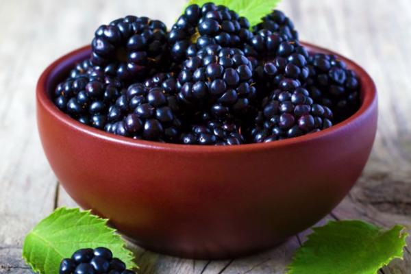黑莓的功效與作用及禁忌 黑莓的營養價值