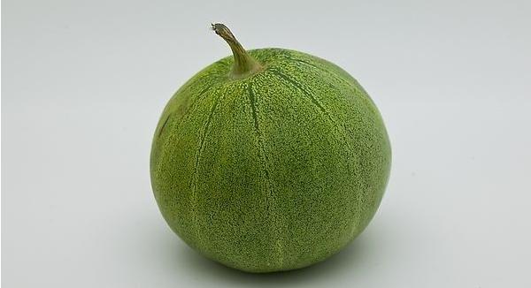 巴盟香瓜是哪里的 巴盟香瓜什么時候上市