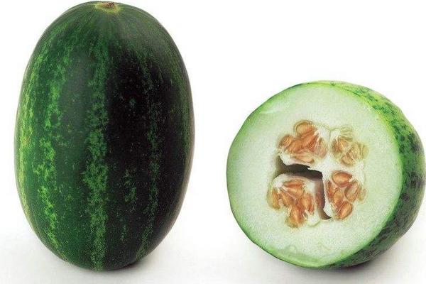 巴盟香瓜是哪里的 巴盟香瓜什么時候上市