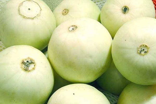 香瓜有哪些品種 如何挑選香瓜