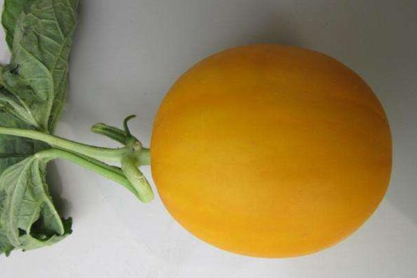 香瓜有哪些品種 如何挑選香瓜