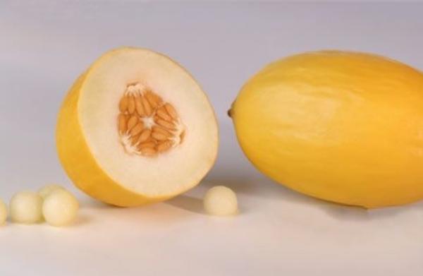 香瓜有哪些品種 如何挑選香瓜