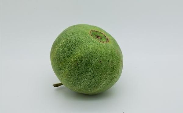 香瓜和桃子能一起吃嗎 香瓜和西紅柿能一起吃嗎