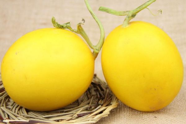 香蕉和香瓜能一起吃嗎 西瓜和香瓜能一起吃嗎