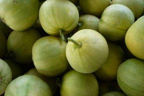 香蕉和香瓜能一起吃嗎 西瓜和香瓜能一起吃嗎