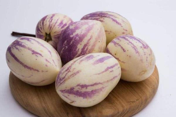 香瓜茄功效與作用及禁忌 香瓜茄營養(yǎng)價值