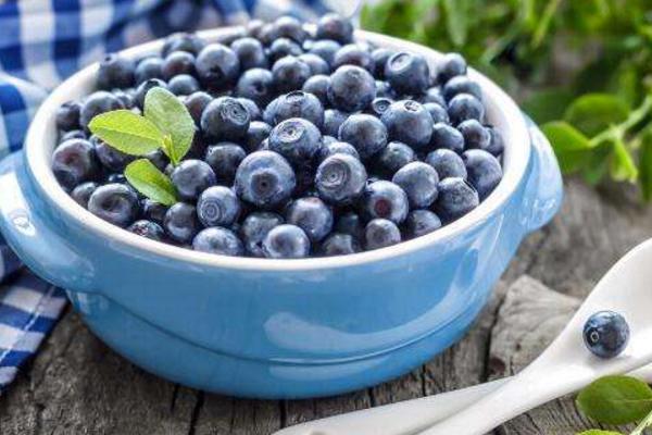 野生藍莓市場價格多少錢一斤 野生藍莓怎么吃