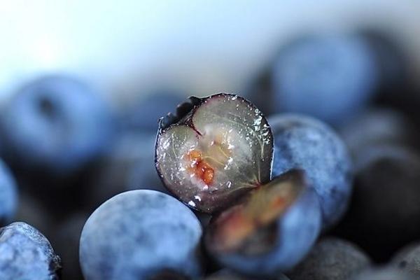 藍莓要洗嗎 藍莓果肉是什么顏色的