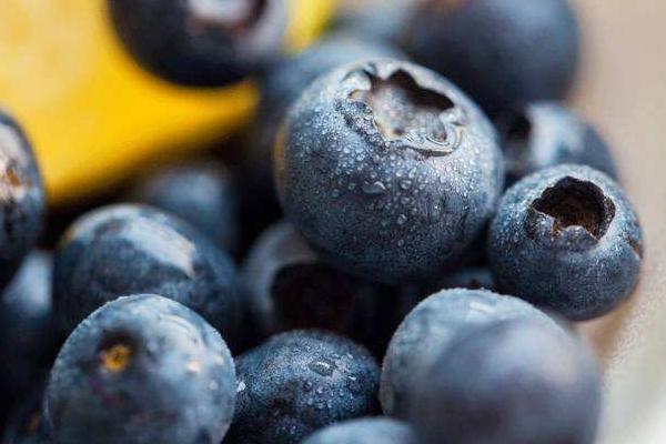 藍莓要洗嗎 藍莓果肉是什么顏色的