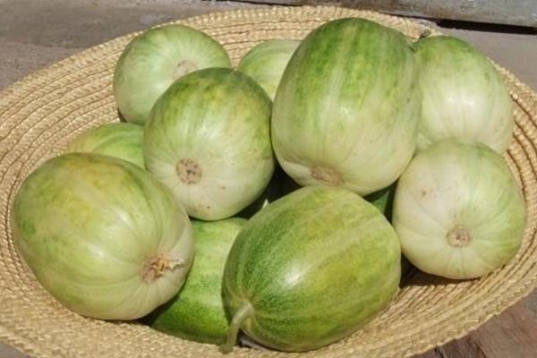 香瓜是寒性還是熱性 香瓜是堿性還是酸性 香瓜的熱量是多少