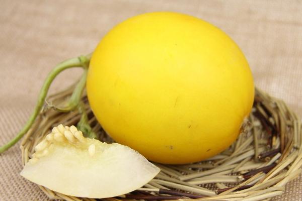 香瓜吃多了會怎么樣 香瓜吃多了會上火嗎