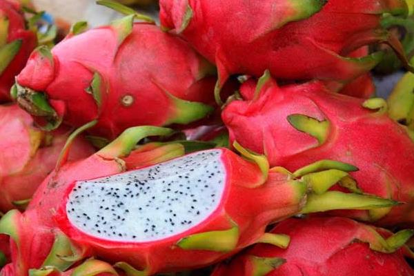 吃火龍果的最佳時間是什么時候 火龍果吃多了會怎樣