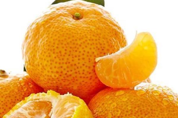 金秋沙糖桔市場價格多少錢一斤 金秋沙糖桔的優(yōu)點和缺點