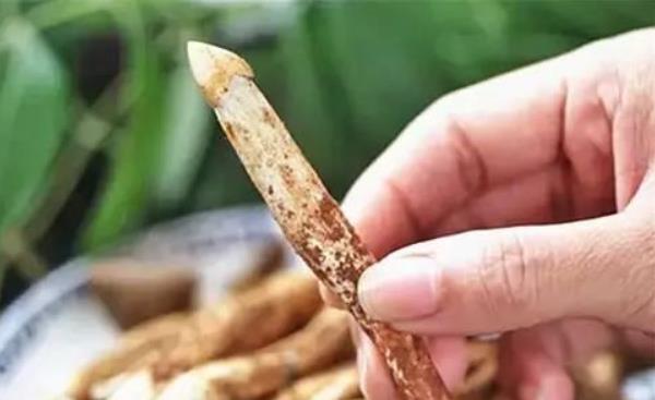 荔枝菌市場價格多少錢一斤 荔枝菌是不是雞樅菌