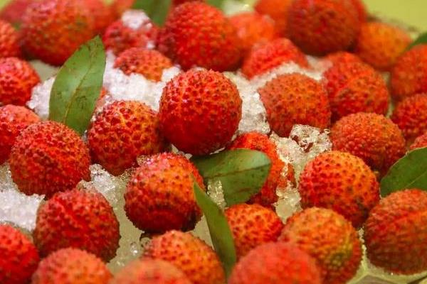 荔枝和什么相克 荔枝和什么榨汁好喝