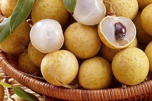 龍眼為什么叫龍眼 龍眼名字由來
